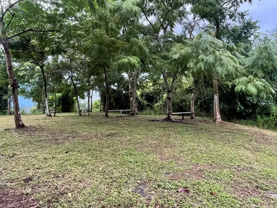 Km 2.5 Pr-858, Carolina, PR 00987 - Image #3