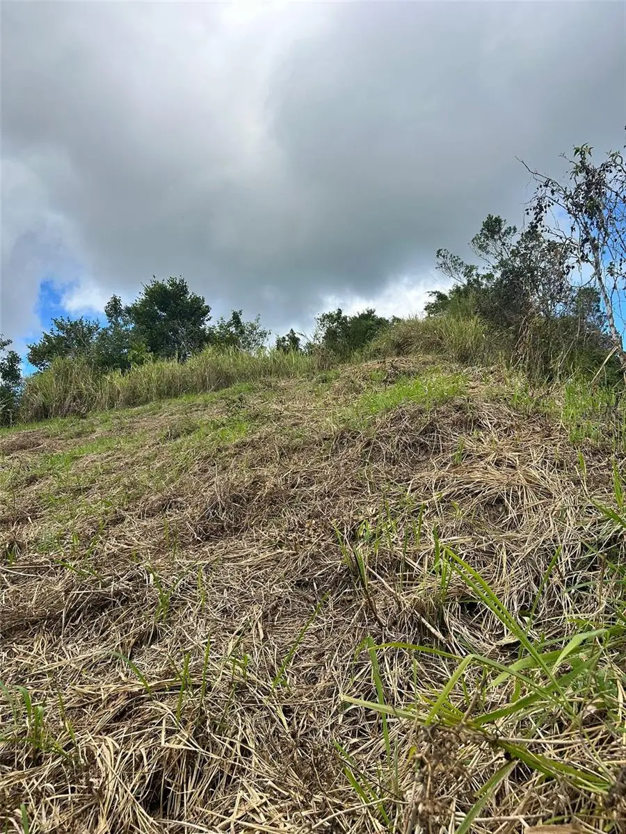 Carr. 723,2.3 Int., Aibonito, PR 00705 - Image #3