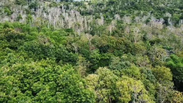 784 Pr-784 Road, Caguas, PR 00725 - Image #3