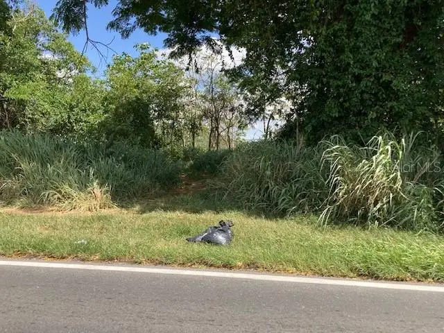 PR-784 State Road Pr-784 Road #22, Caguas, PR 00725 - Image #2