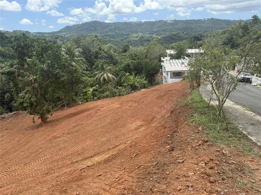 Road 106 Km 6.2, Mayaguez, PR 00680 - Image #3