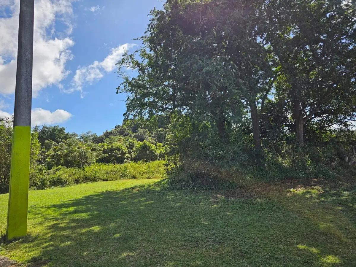 Bo. Celada Sector Los Chino, Gurabo, PR 00778 - Image #1