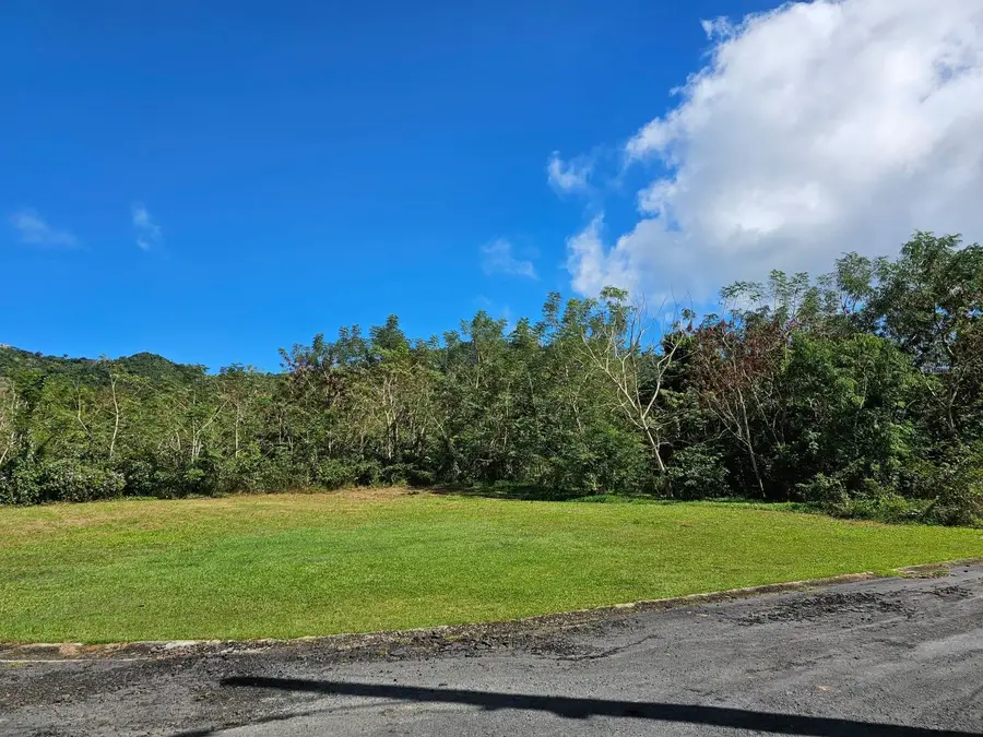 Bo. Celada Sector Los Chino, Gurabo, PR 00778 - Image #2