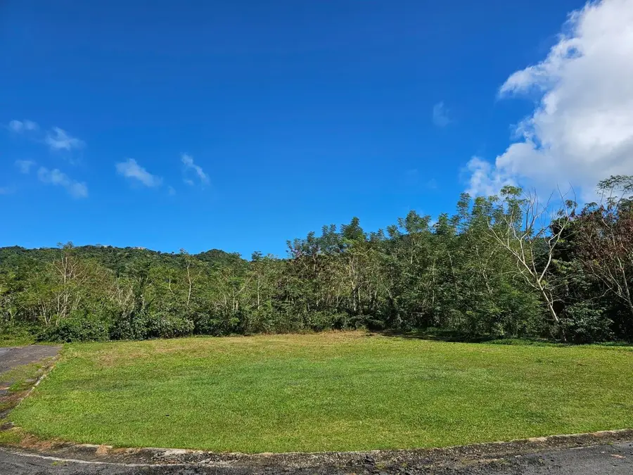 Bo. Celada Sector Los Chino, Gurabo, PR 00778 - Image #3