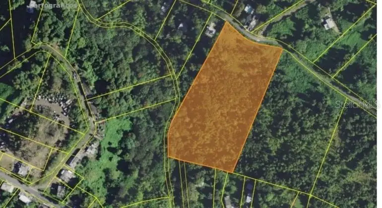 PR-967 Zarzal Ward #LOT 4, Rio Grande, PR 00745 - Image #1