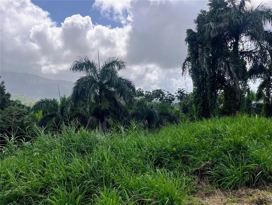 PR-967 Zarzal Ward #LOT 4, Rio Grande, PR 00745 - Image #3