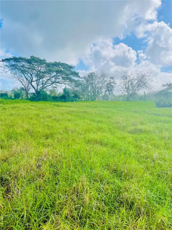 4494 Route Bo Mora, ISABELA, PR 00662