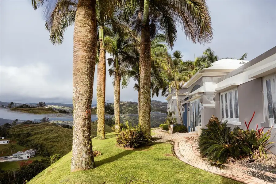 PR 152 KM 7.5 Cerr Faralln, Barranquitas, PR 00794 - Image #3