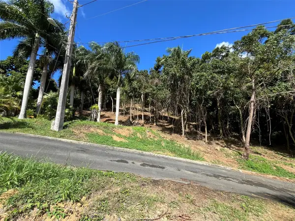 174, BAYAMON, PR 00961