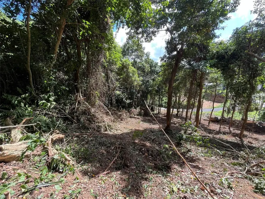 174, Bayamon, PR 00961 - Image #3