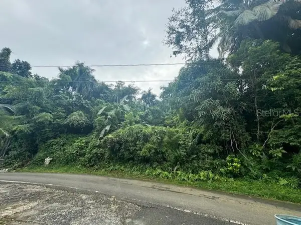 175 Bo San Antonio, CAGUAS, PR 00725