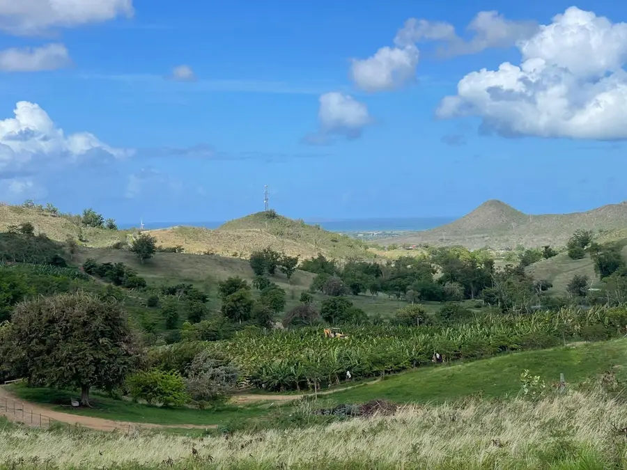 KM 4 Carr. 545, Santa Isabel, PR 00757 - Image #2