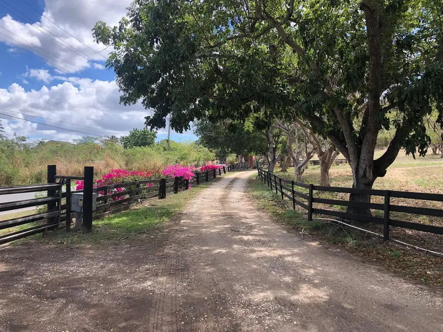 KM 4 Carr. 545, Santa Isabel, PR 00757 - Image #3