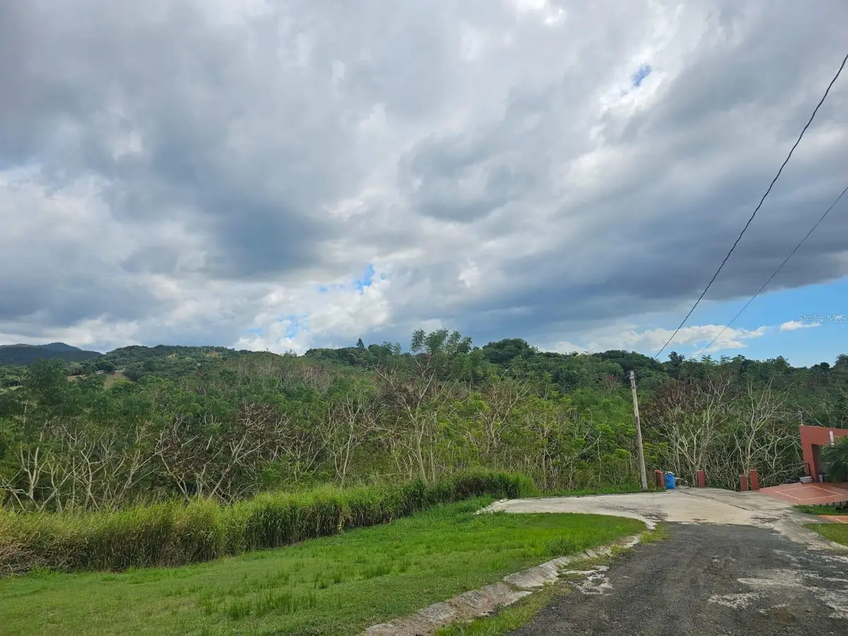 BO. Santana Solar 2 Carr 363 Khm 09, Sabana Grande, PR 00637 - Image #1