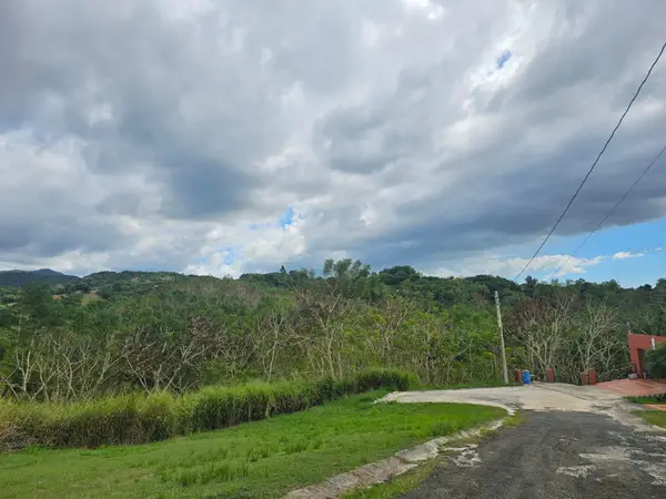 BO. Santana Solar 2 Carr 363 Khm 09, SABANA GRANDE, PR 00637