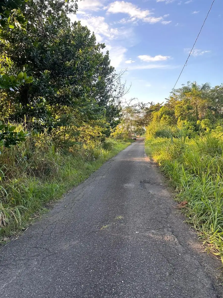 PR-160 km 10.6 Int Lot 50 Ranchos Nativos, Vega Baja, PR 00693 - Image #1