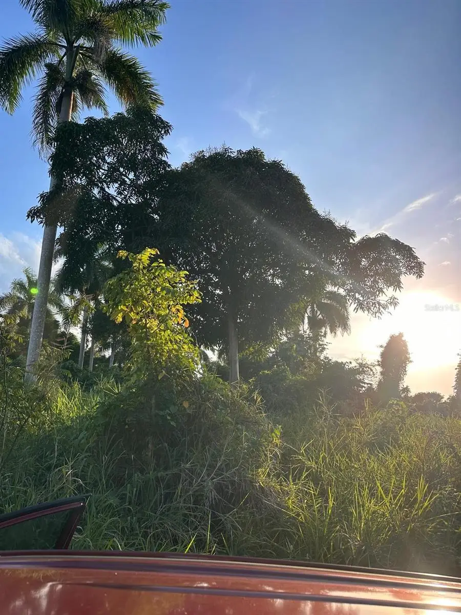 PR-160 km 10.6 Int Lot 50 Ranchos Nativos, Vega Baja, PR 00693 - Image #2