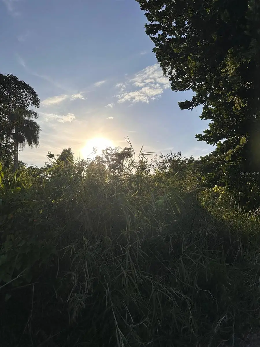 PR-160 km 10.6 Int Lot 50 Ranchos Nativos, Vega Baja, PR 00693 - Image #3