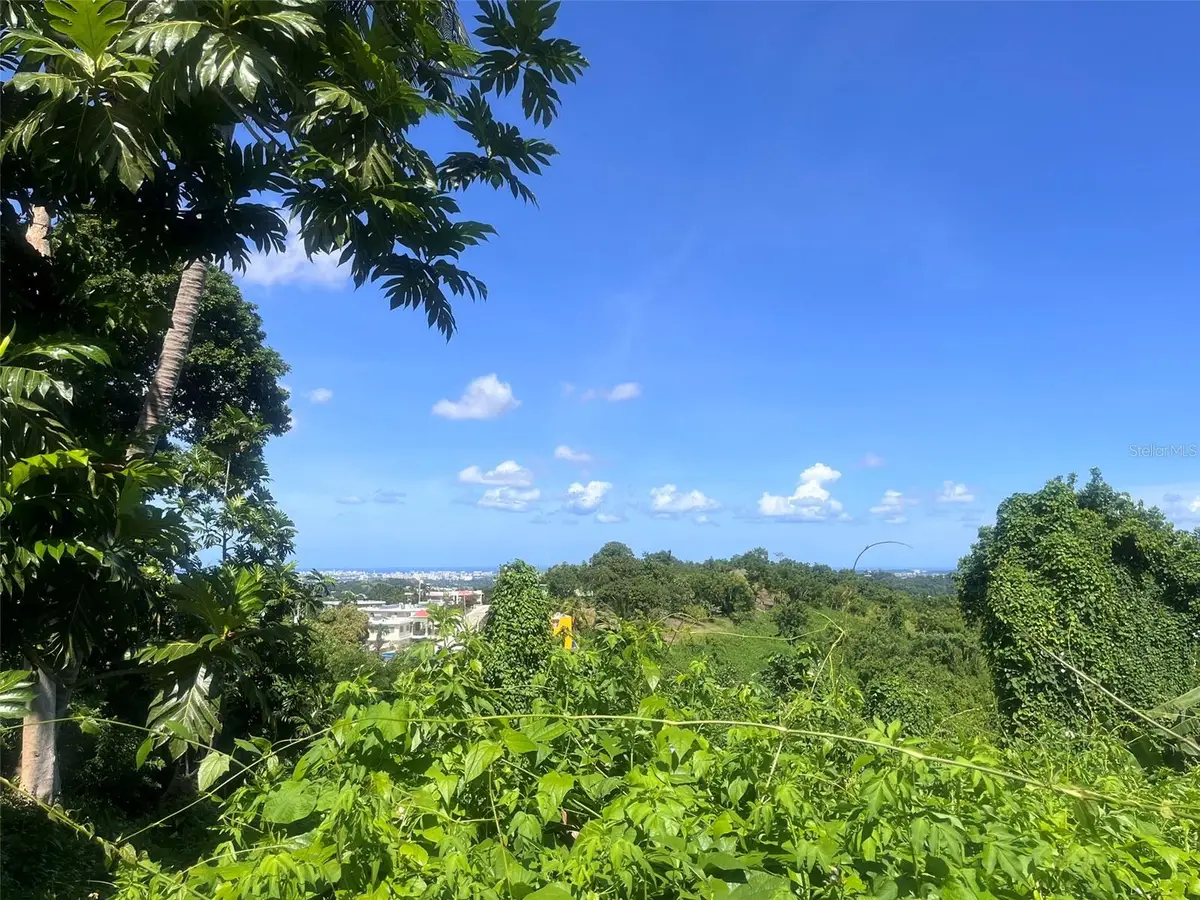 Barrio Mamey, Guaynabo, PR 00969 - Image #1