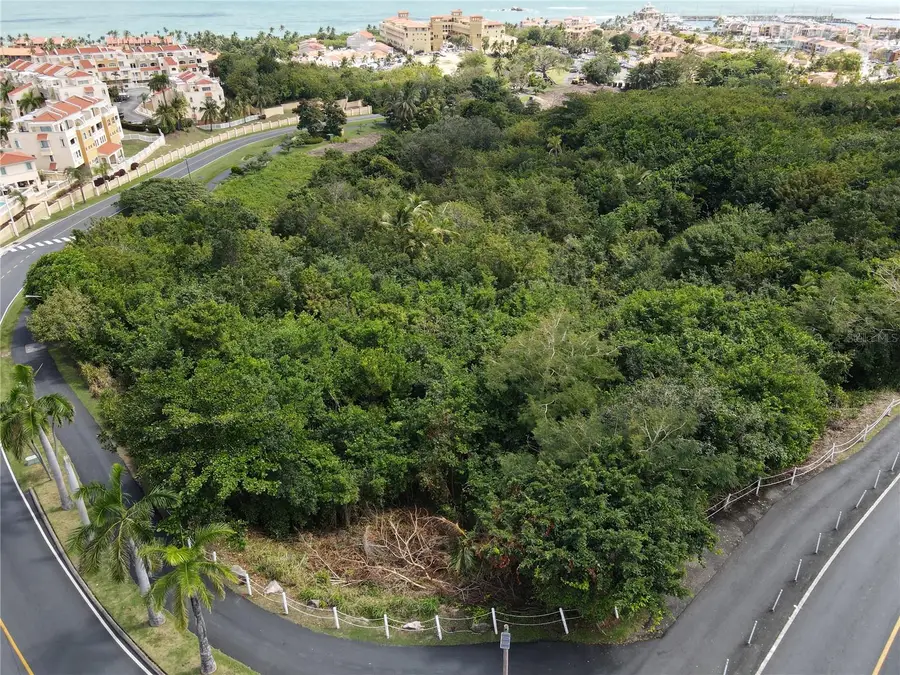 Palmas Drive, Humacao, PR 00791 - Image #3