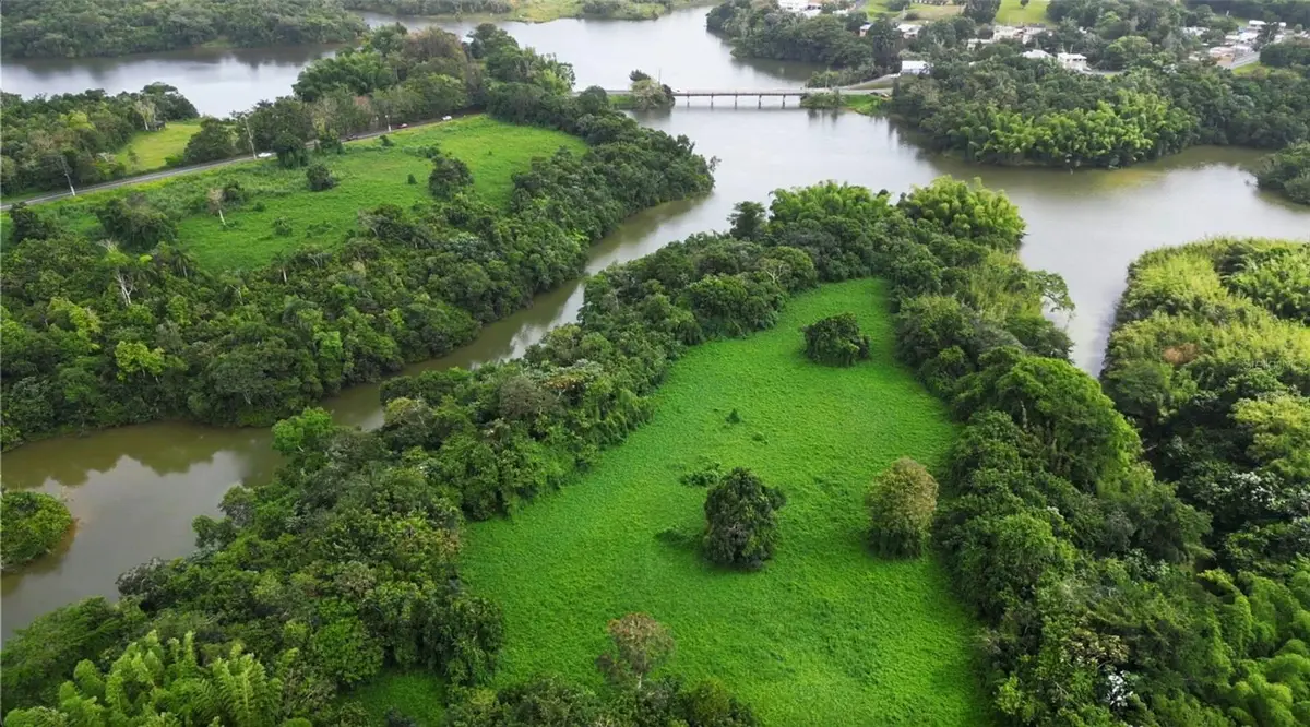 Pr-787, Cidra, PR 00739 - Image #1