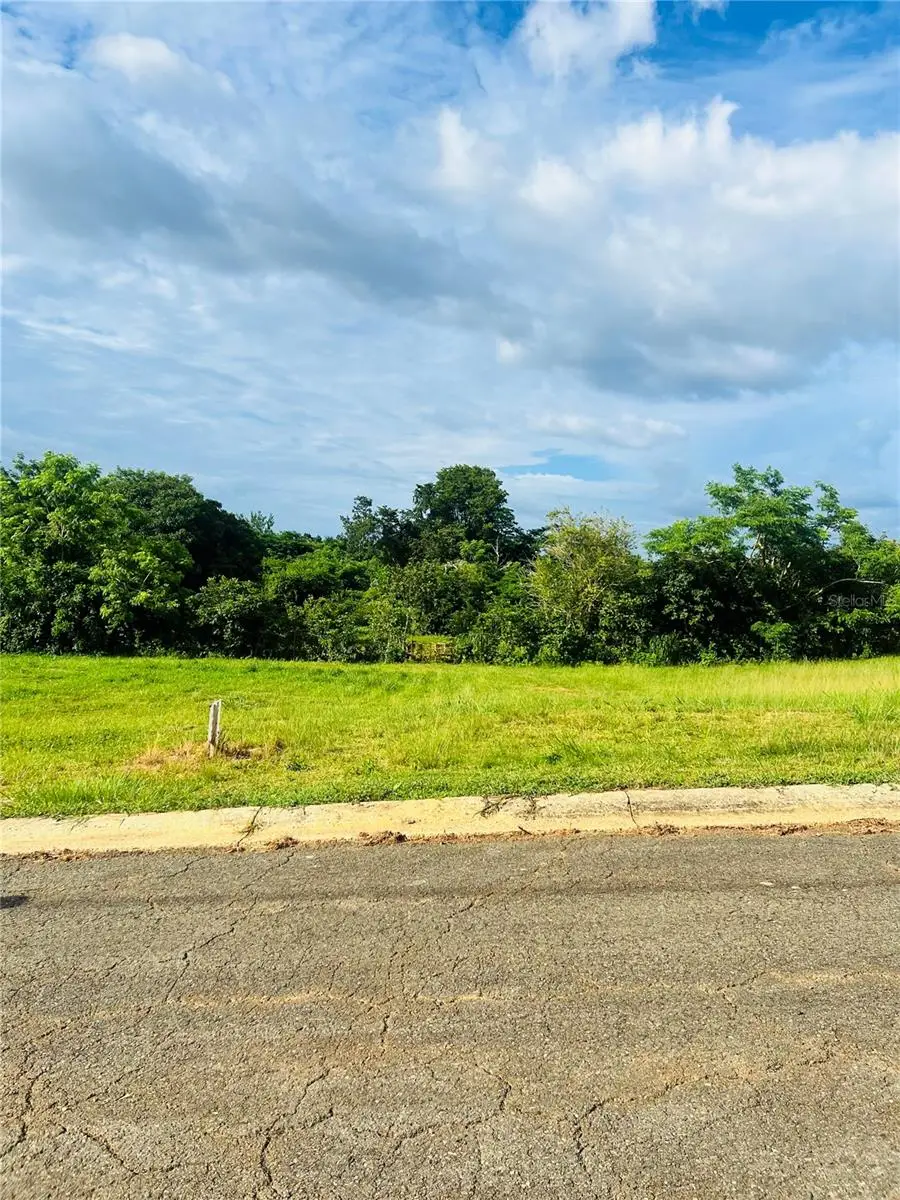 308 Route #Lot 1, Cabo Rojo, PR 00623 - Image #3