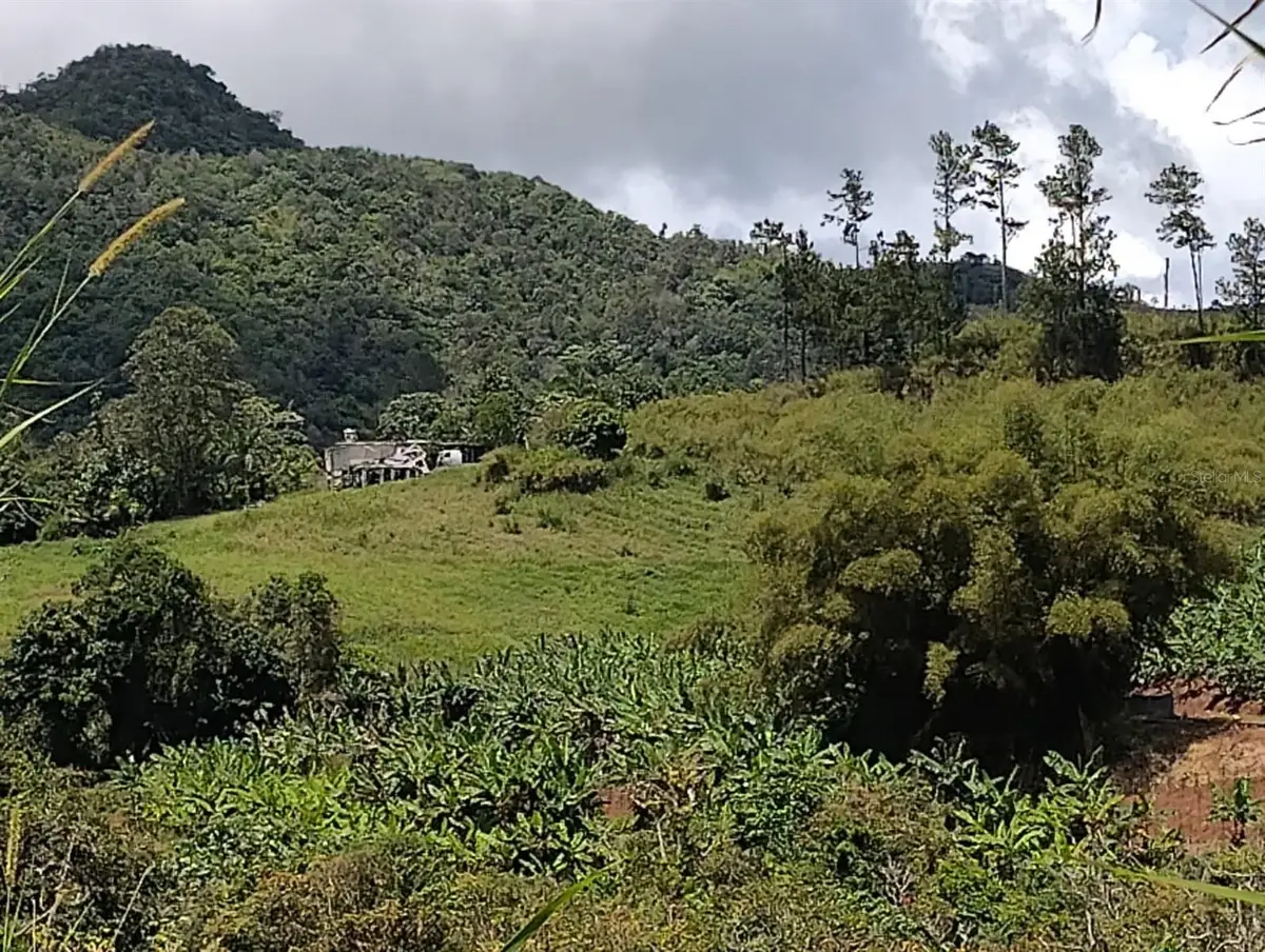 KM 0.2 INT Bo. Helechal Pr 152, Barranquitas, PR 00794 - Image #1
