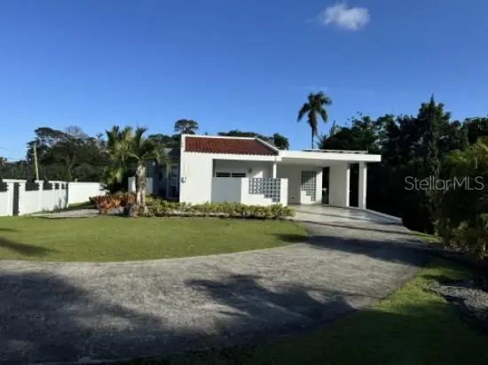 Carr 921 Calle Orqudea #153, LAS PIEDRAS, PR 00771