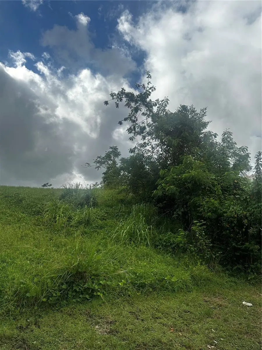 Comm Ocean View, Luquillo, PR 00773 - Image #2