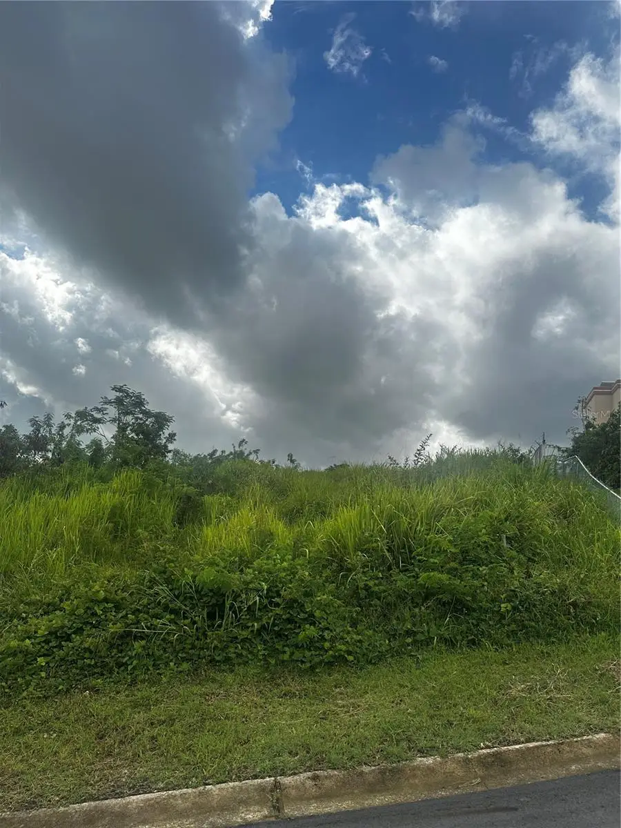 Comm Ocean View, Luquillo, PR 00773 - Image #3