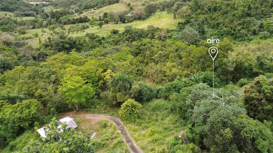 Lot 7 Km 61 PR-3 Int Daguao Ward, Ceiba, PR 00735 - Image #3