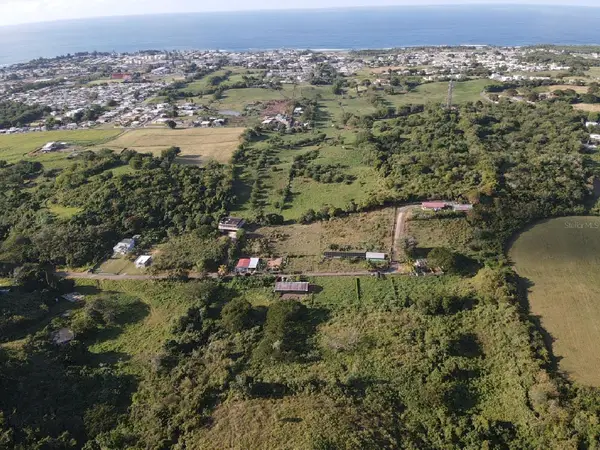 carr 130 Delgado, HATILLO, PR 00659