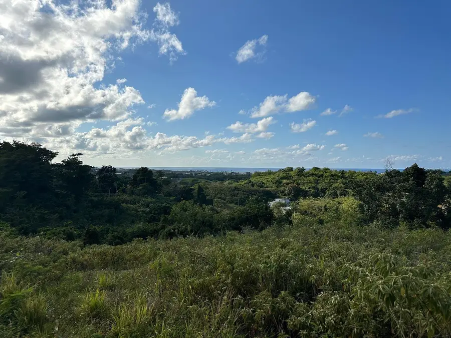 carr 130 Delgado, Hatillo, PR 00659 - Image #2