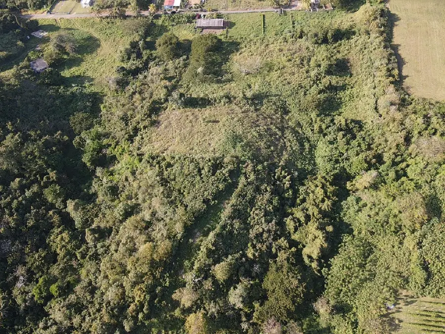 carr 130 Delgado, Hatillo, PR 00659 - Image #3