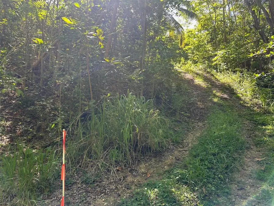 Carr. 413 Interior, Rincon, PR 00677 - Image #2