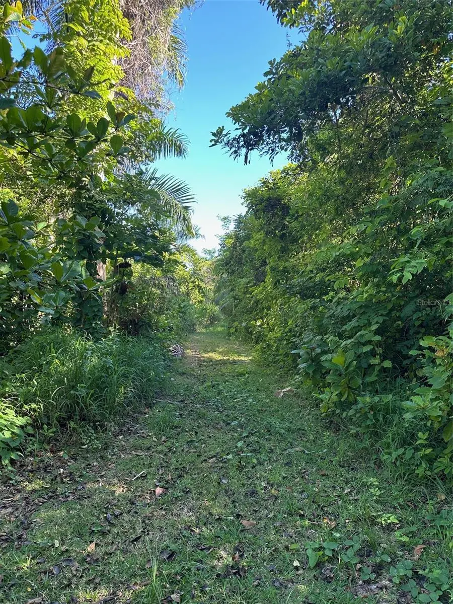 Carr. 413 Interior, Rincon, PR 00677 - Image #3