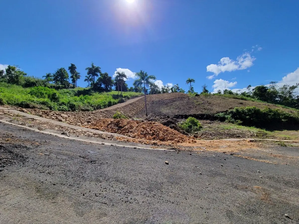 Carr 160, Vega Baja, PR 00693 - Image #1