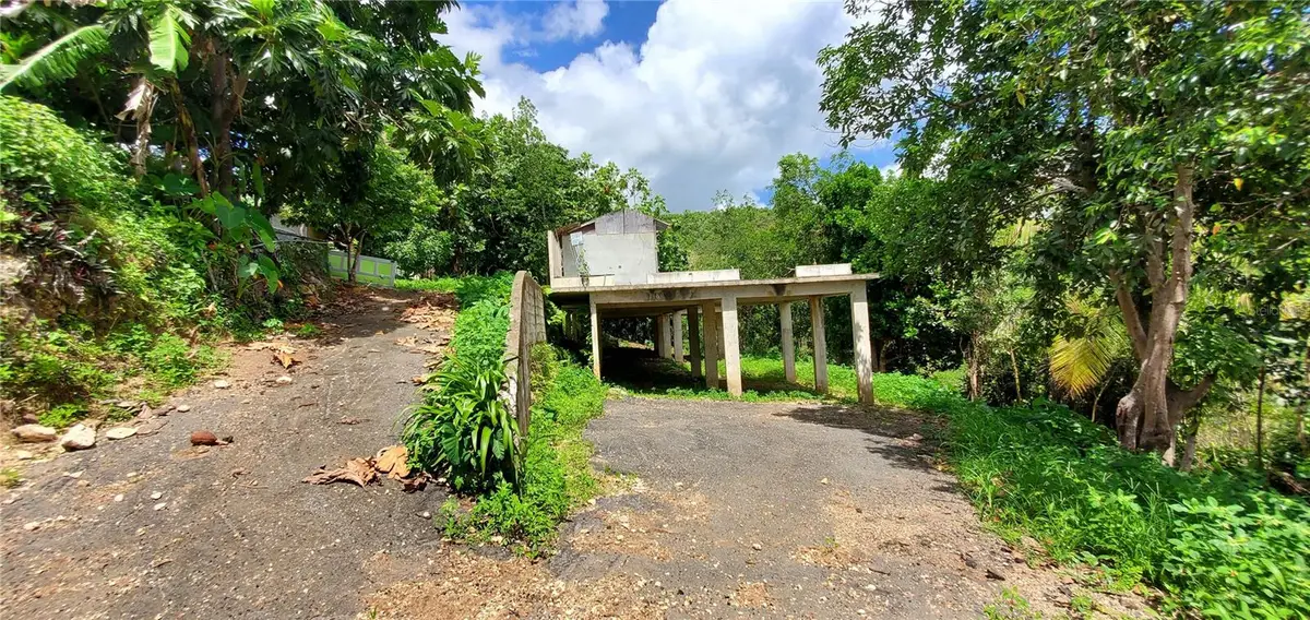 S Hato Viejo, Ciales, PR 00638 - Image #1
