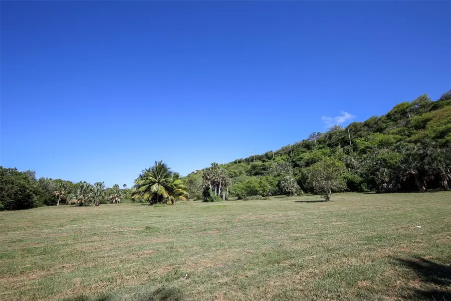 466 Bo. Bajuras, Isabela, PR 00662 - Image #3