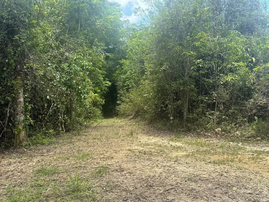 PR-641 KM 6.0 E Rio Arriba Poniente, Manati, PR 00674 - Image #3