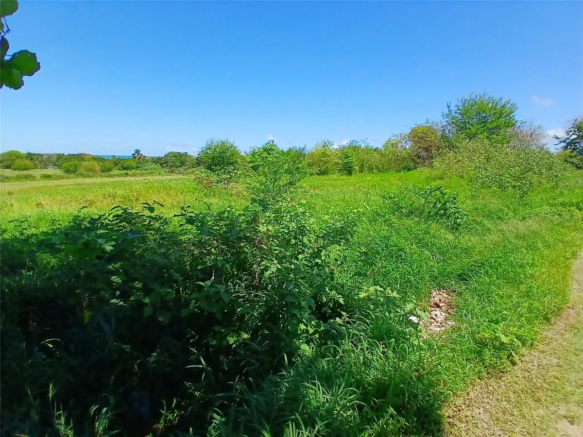 15.5 Carretera 681 Km.hm 15.5, Barceloneta, PR 00617 - Image #1