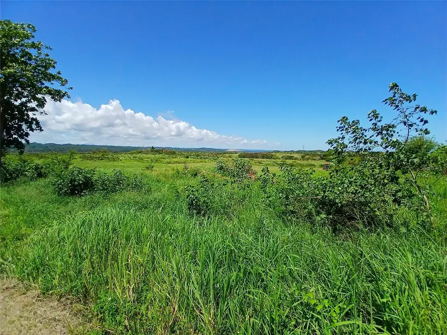 15.5 Carretera 681 Km.hm 15.5, Barceloneta, PR 00617 - Image #3