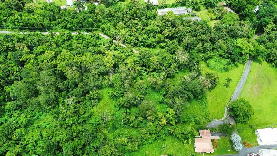 Calle Balbino Rosa #Solar C, Luquillo, PR 00773 - Image #2