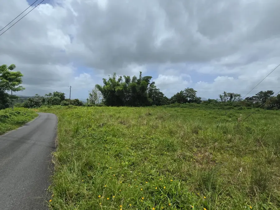 46 Parcela En Bo Jacanas, Yabucoa, PR 00767 - Image #2
