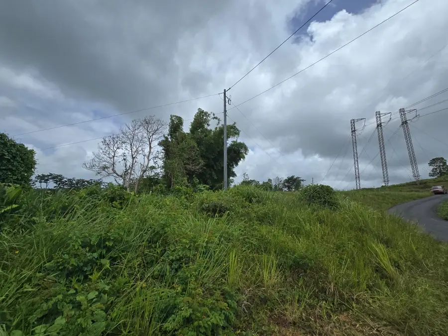 46 Parcela En Bo Jacanas, Yabucoa, PR 00767 - Image #3