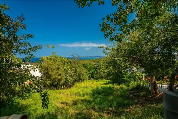 Calle Miramar, RINCON, PR 00677