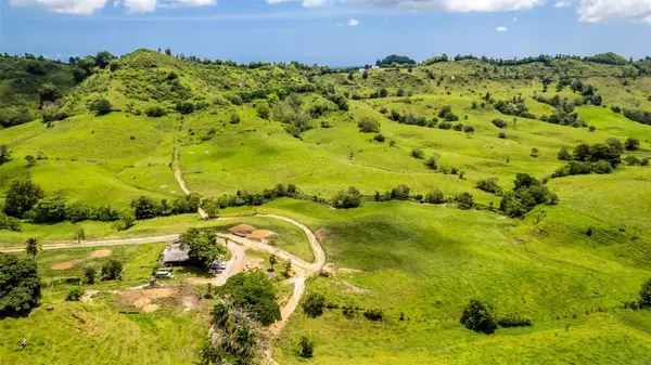 Km 1.6 633, MOROVIS, PR 00687