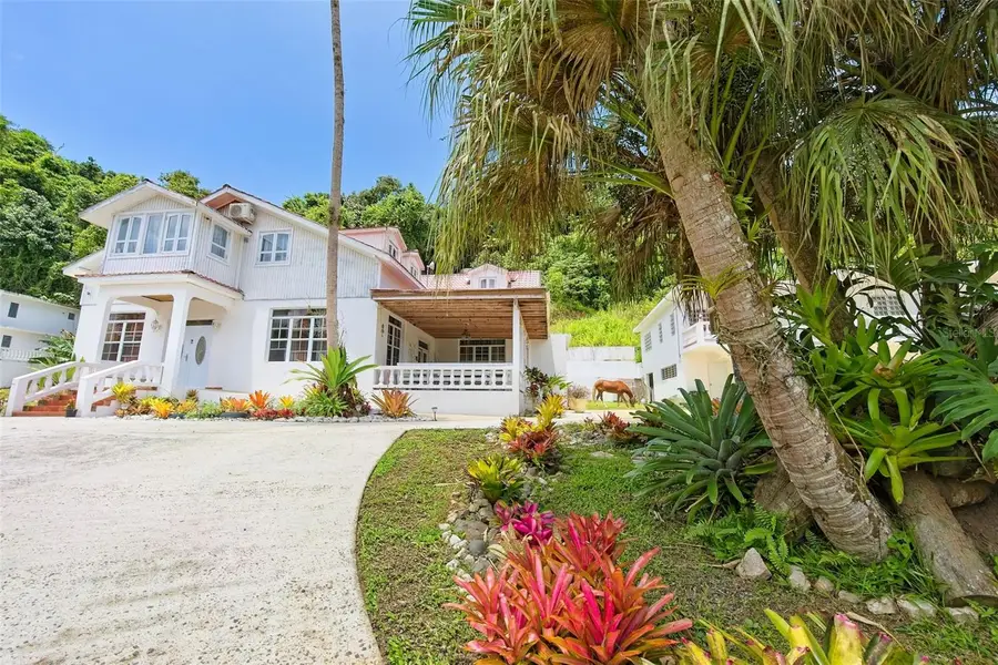 135 Villa Perez, Adjuntas, PR 00601 - Image #3