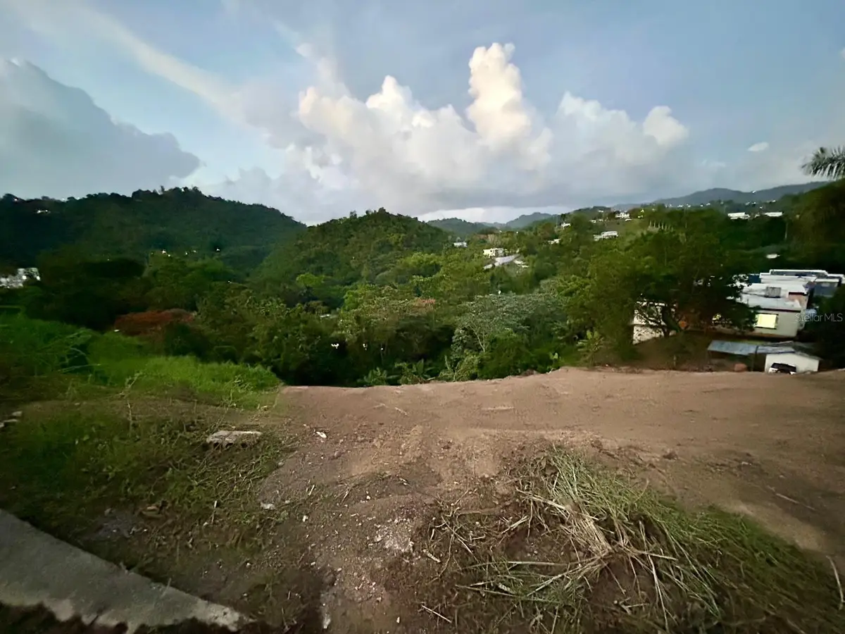 164 St. km 4.4 Bo. Nuevo, Naranjito, PR 00719 - Image #1