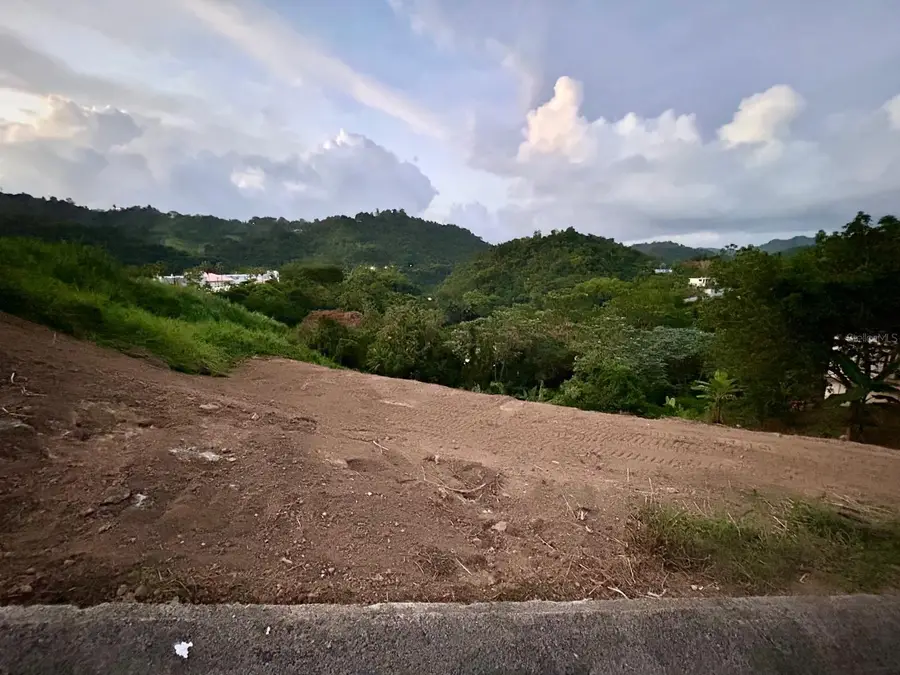 164 St. km 4.4 Bo. Nuevo, Naranjito, PR 00719 - Image #2
